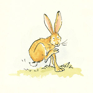 Hare 02 square